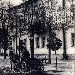 While They Sleep : Les Fleurs du Mal